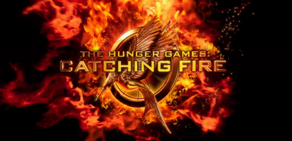 Catching fire essay